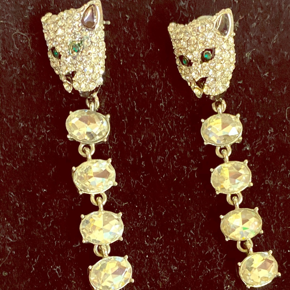 Women’s earrings